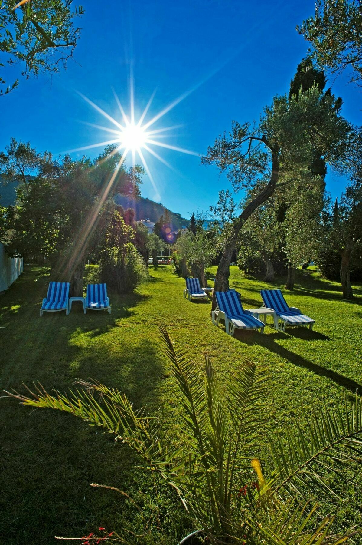Hotel Rivijera Petrovac Kültér fotó